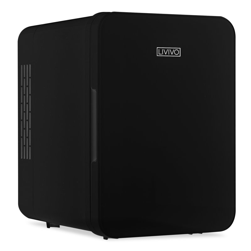 LIVIVO 4 L Freestanding Mini Fridge & Reviews Wayfair.co.uk